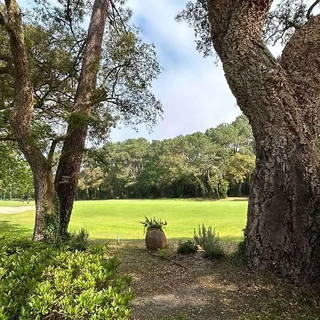 公寓 Belle Au Golf D'hossegor